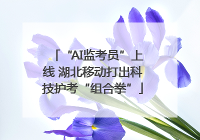 “AI监考员”上线 湖北移动打出科技护考“组合拳”
