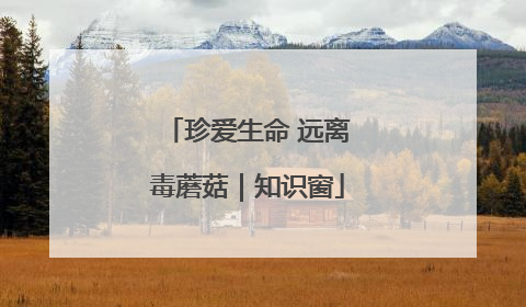珍爱生命 远离毒蘑菇｜知识窗