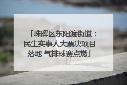 珠晖区东阳渡街道：民生实事人大票决项目落地 气排球赛点燃