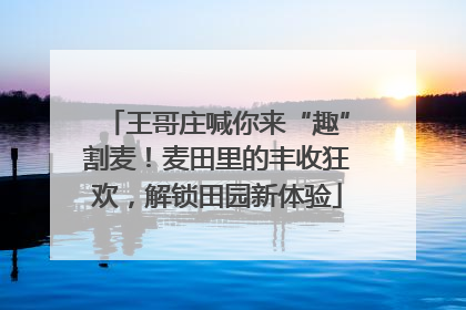 王哥庄喊你来“趣”割麦！麦田里的丰收狂欢，解锁田园新体验