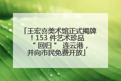 王宏喜美术馆正式揭牌！153 件艺术珍品 “ 回归 ” 连云港，并向市民免费开放