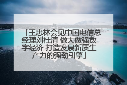 王忠林会见中国电信总经理刘桂清 做大做强数字经济 打造发展新质生产力的强劲引擎