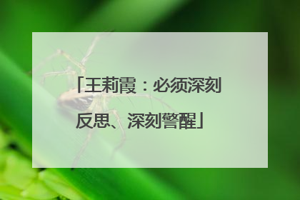 王莉霞：必须深刻反思、深刻警醒