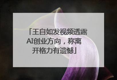 王自如发视频透露AI创业方向，称离开格力有遗憾