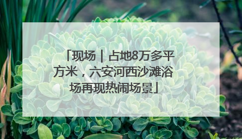 现场｜占地8万多平方米，六安河西沙滩浴场再现热闹场景