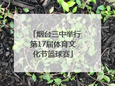 烟台三中举行第17届体育文化节篮球赛