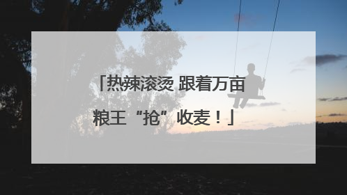 热辣滚烫 跟着万亩粮王“抢”收麦！