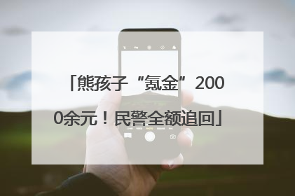 熊孩子“氪金”2000余元！民警全额追回