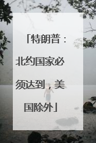 特朗普：北约国家必须达到，美国除外
