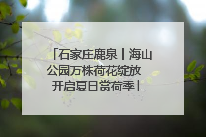 石家庄鹿泉丨海山公园万株荷花绽放 开启夏日赏荷季