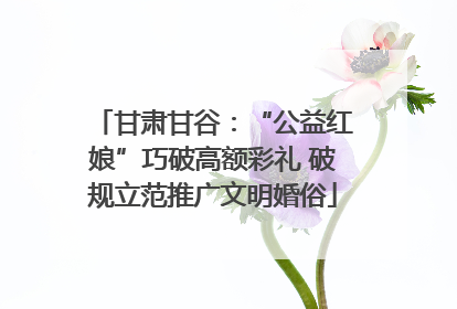 甘肃甘谷：“公益红娘”巧破高额彩礼 破规立范推广文明婚俗