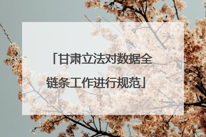 甘肃立法对数据全链条工作进行规范