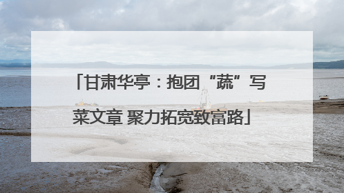 甘肃华亭：抱团“蔬”写菜文章 聚力拓宽致富路