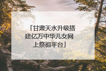 甘肃天水升级搭建亿万中华儿女网上祭祖平台