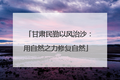 甘肃民勤以风治沙：用自然之力修复自然