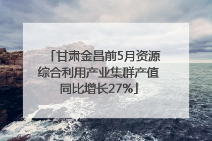 甘肃金昌前5月资源综合利用产业集群产值同比增长27%