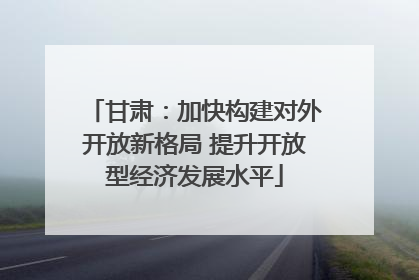 甘肃：加快构建对外开放新格局 提升开放型经济发展水平