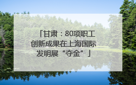 甘肃：80项职工创新成果在上海国际发明展“夺金”