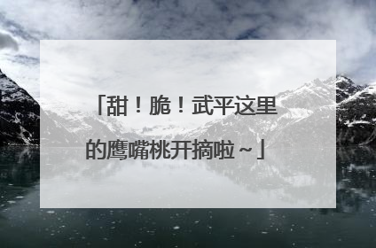 甜！脆！武平这里的鹰嘴桃开摘啦～