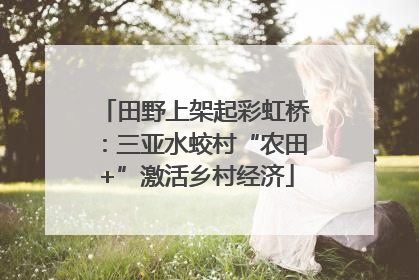 田野上架起彩虹桥：三亚水蛟村“农田+”激活乡村经济