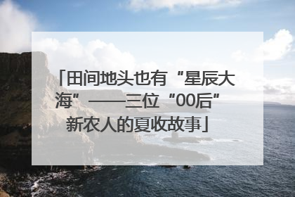 田间地头也有“星辰大海”——三位“00后”新农人的夏收故事