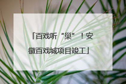百戏听“巢”！安徽百戏城项目竣工