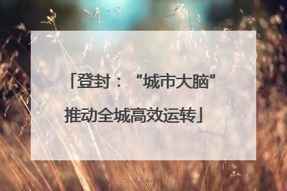 登封：“城市大脑”推动全城高效运转