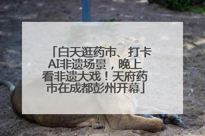 白天逛药市、打卡AI非遗场景，晚上看非遗大戏！天府药市在成都彭州开幕