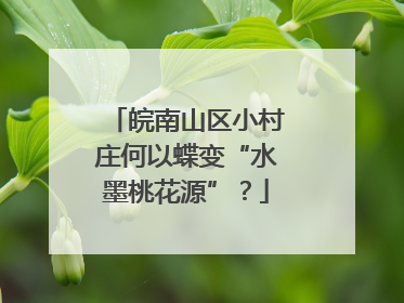 皖南山区小村庄何以蝶变“水墨桃花源”？