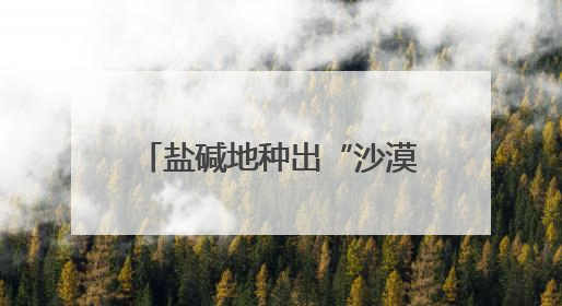 盐碱地种出“沙漠人参” 潍坊滨海解锁生态致富密码