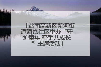 盐南高新区新河街道海嘉社区举办“守护童年 牵手共成长”主题活动