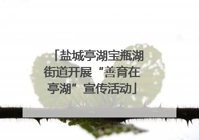 盐城亭湖宝瓶湖街道开展“善育在亭湖”宣传活动