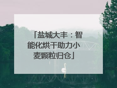 盐城大丰：智能化烘干助力小麦颗粒归仓