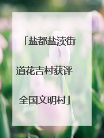 盐都盐渎街道花吉村获评全国文明村