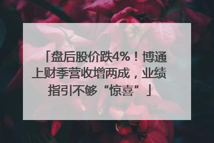 盘后股价跌4%！博通上财季营收增两成，业绩指引不够“惊喜”