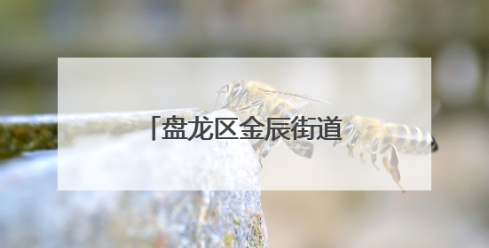 盘龙区金辰街道多举措推进流动人口信息登记