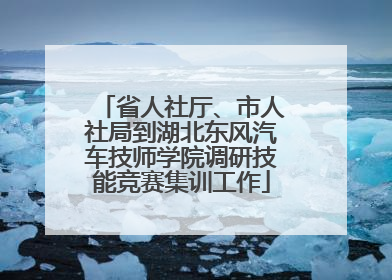 省人社厅、市人社局到湖北东风汽车技师学院调研技能竞赛集训工作