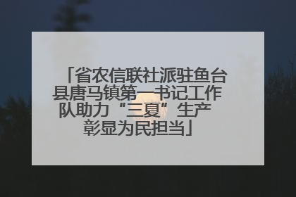 省农信联社派驻鱼台县唐马镇第一书记工作队助力“三夏”生产 彰显为民担当