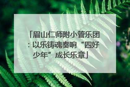 眉山仁师附小管乐团：以乐铸魂奏响“四好少年”成长乐章