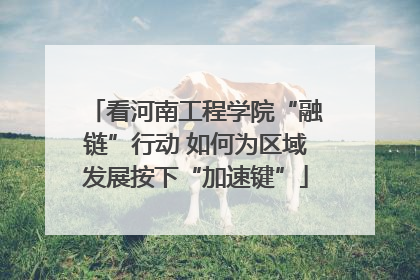 看河南工程学院“融链”行动 如何为区域发展按下“加速键”