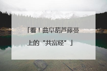 看！曲阜葫芦藤蔓上的“共富经”