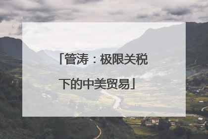 管涛：极限关税下的中美贸易