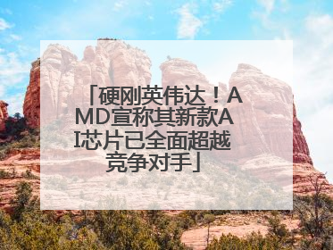 硬刚英伟达！AMD宣称其新款AI芯片已全面超越竞争对手