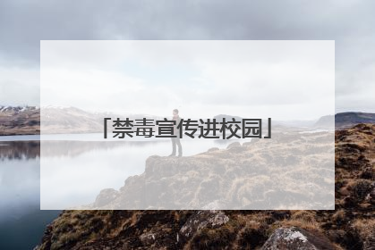 禁毒宣传进校园