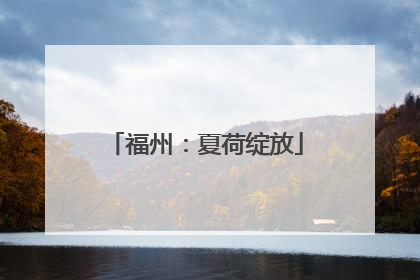 福州：夏荷绽放