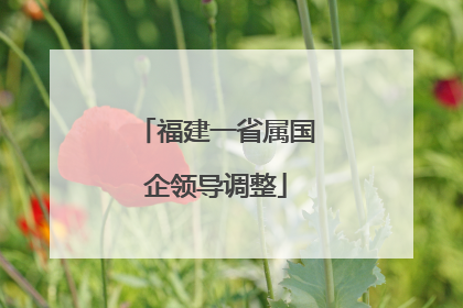 福建一省属国企领导调整