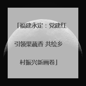 福建永定：党建红引领果蔬香 共绘乡村振兴新画卷