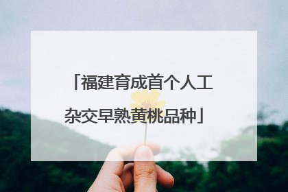 福建育成首个人工杂交早熟黄桃品种
