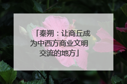 秦朔：让商丘成为中西方商业文明交流的地方