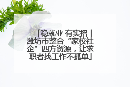稳就业 有实招丨潍坊市整合“家校社企”四方资源，让求职者找工作不孤单